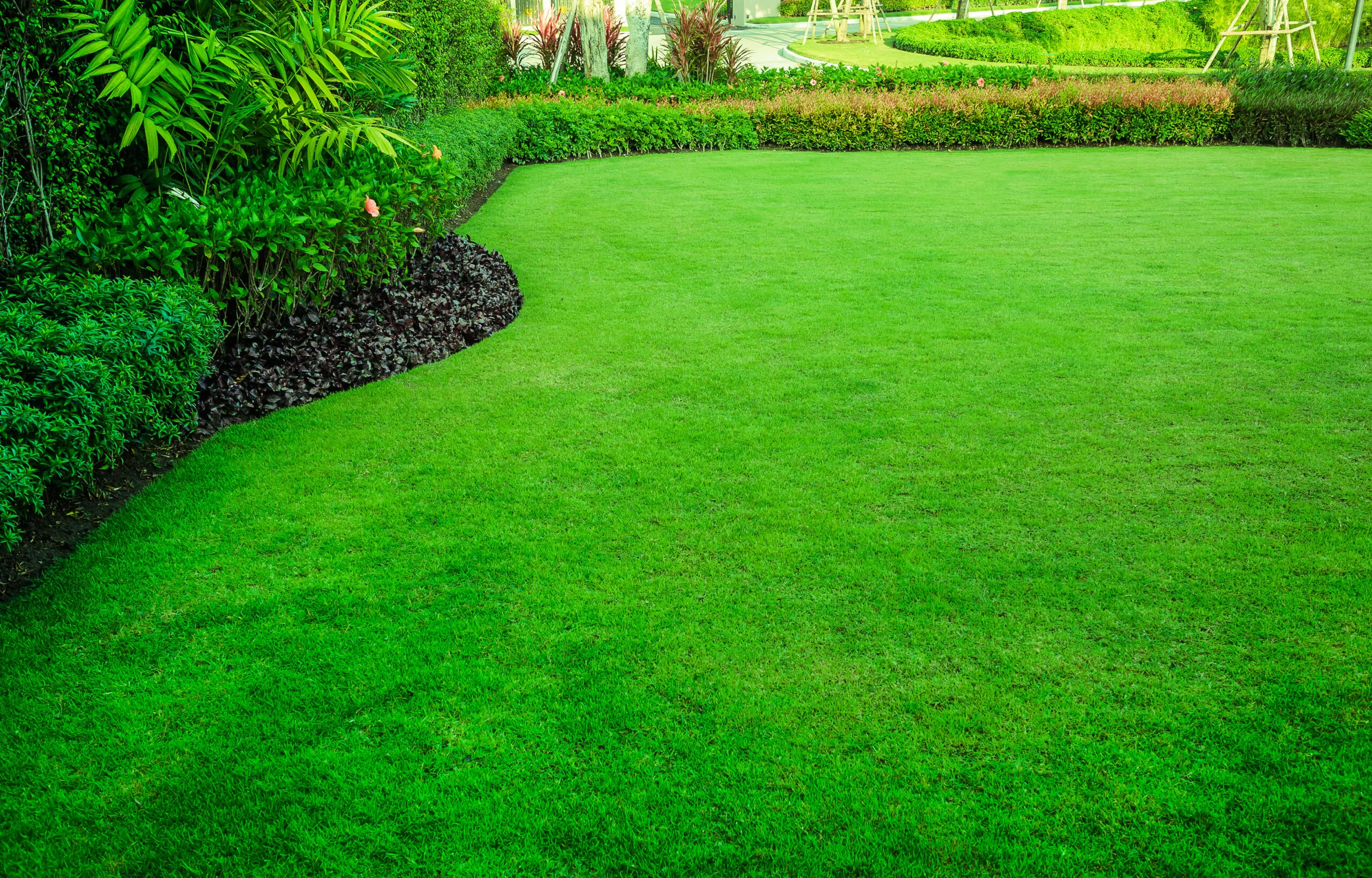 Stump grinding service